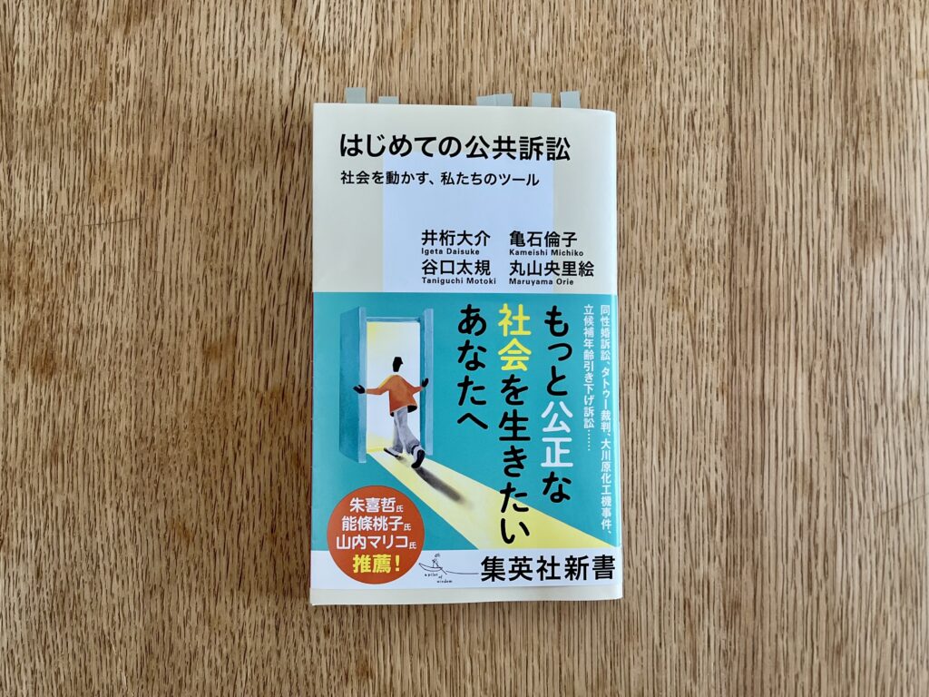 はじめての公共訴訟 社会を動かす、私たちのツール